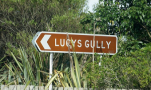 lucys gully