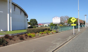 St Josephs Primary School Hawera small