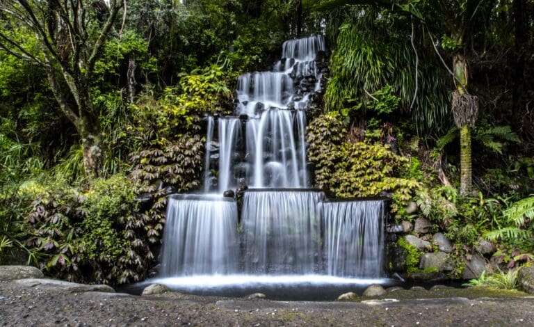 Pukekura Parks' waterfall