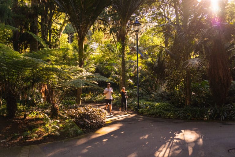 Taranaki Story 117 Visitor Live Environment day time people exercising native bush Pukekura Park