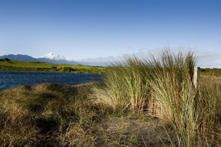 WAIKIRIKIRI-43