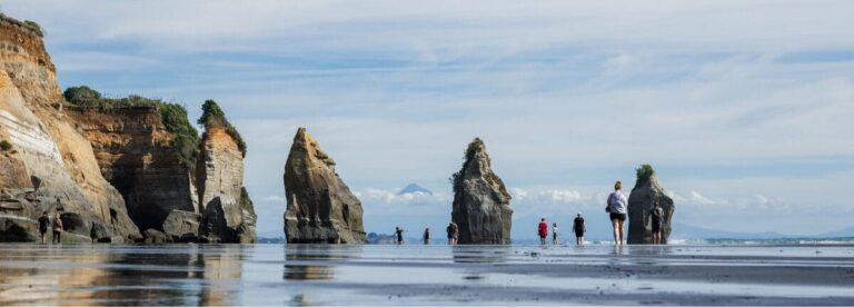 New Plymouth Real Estate