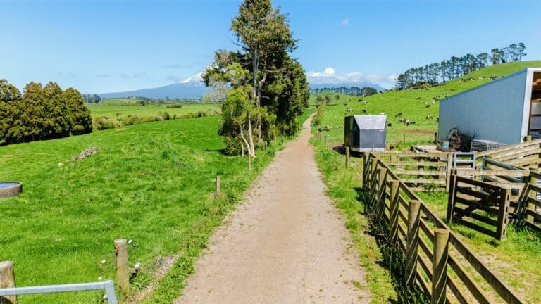 2224785